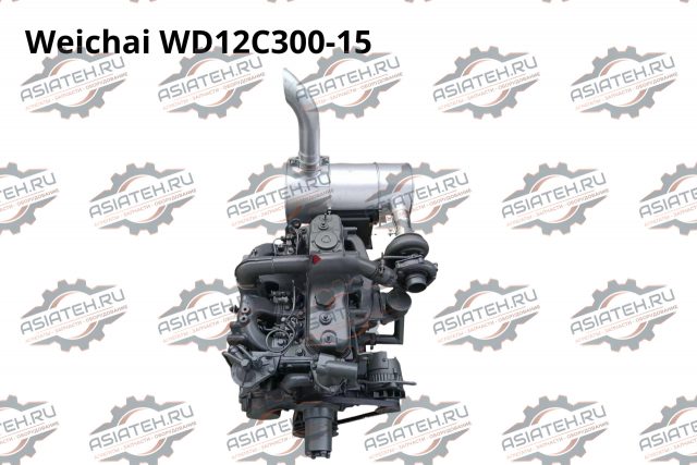 Двигатель Weichai WD12C300-15